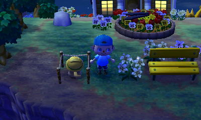 The spot I chose for my street lamp, near my yellow bench and flower clock.