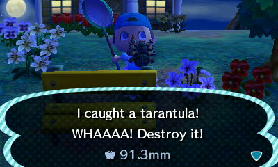 I caught a tarantula! WHAAAA! Destroy it!