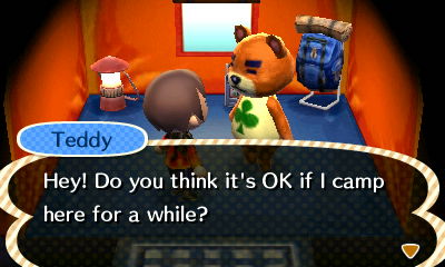 Teddy: Hey! Do you think it's OK if I camp here for a while?