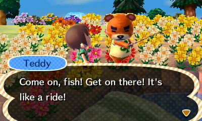 Teddy: Come on, fish! Get on there! It's like a ride!