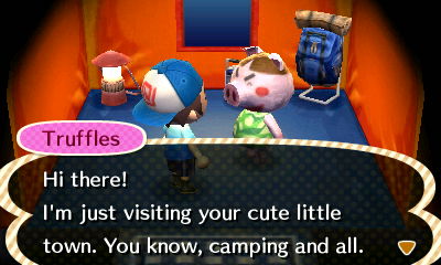 Truffles: Hi there! I'm just visiting your cute little town. You know, camping and all.