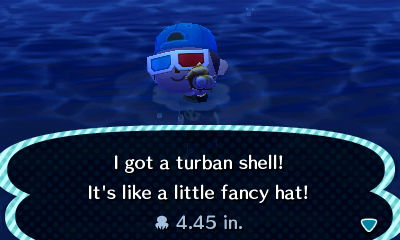I got a turban shell! It's like a little fancy hat!