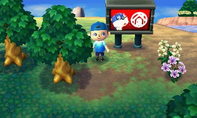 Animated GIF showing all three ads displayed on the video screen PWP.