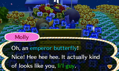 Molly: Oh, an emperor butterfly! Nice! Hee hee hee. It actually kind of looks like you, li'l guy.