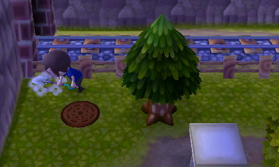 Burying a time capsule in the northwest corner of town.