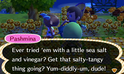 Pashmina: Ever tried 'em with a little sea salt and vinegar? Get that salty-tangy thing going? Yum-diddly-um, dude!