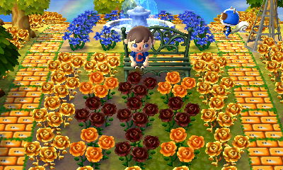 Black and orange roses near my metal bench.