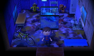 Camofrog camouflaged in his house.