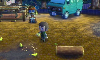 Feeding birds at the drive-in campground.