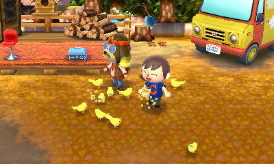 Me feeding the birds with beans I got from Harvey.