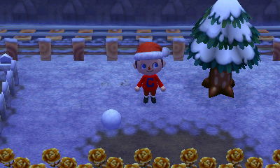 Snow covers the ground and I spot the first snowball of the season.