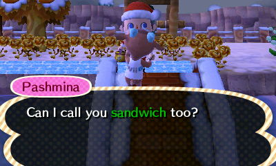 Pashmina: Can I call you sandwich too?