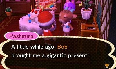 Pashmina: A little while ago, Bob brought me a gigantic present!
