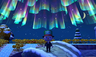 The Northern Lights above Forest.