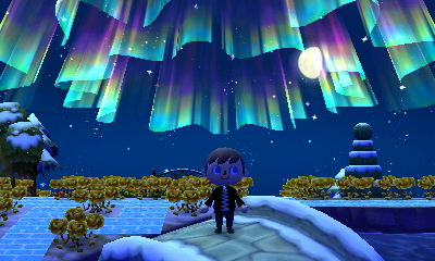 The northern lights up in the sky over Forest.