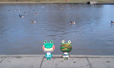 An Amiibo Camera picture showing my New Leaf residents Lily and Camofrog by a (real-life) lake.