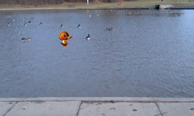 An Amiibo Camera picture showing my New Leaf resident Molly in a (real-life) lake.