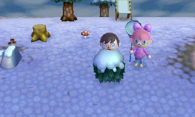 Me eating some snow from the top of the bushes.