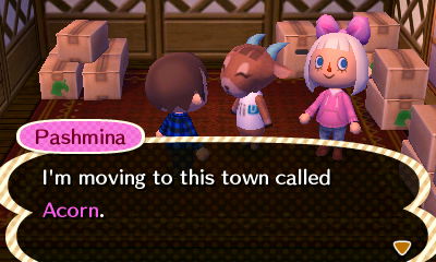 Pashmina: I'm moving to this town called Acorn.