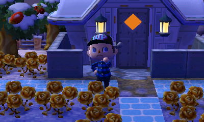 Me wearing a 1-up cap in Animal Crossing: New Leaf.