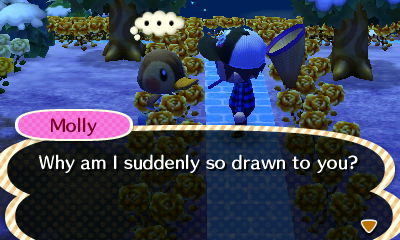 Molly: Why am I suddenly so drawn to you?