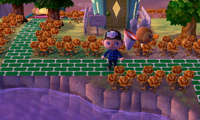 Green grass, green trees, and my green brick path.