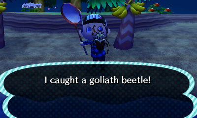 I caught a goliath beetle!