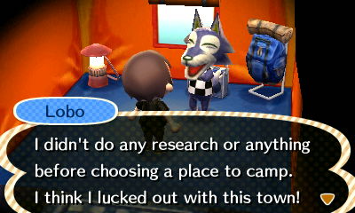 Lobo: I didn't do any research or anything before choosing a place to camp. I think I lucked out with this town!