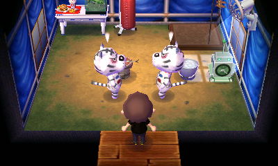 Two Rolfs (one of which is really Blanca in disguise), mad at each other on April Fools' Day in ACNL.