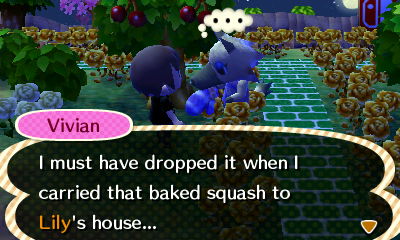 Vivian: I must have dropped it when I carried that baked squash to Lily's house...