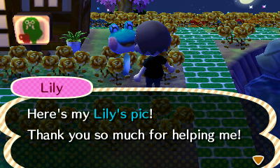 Lily: Here's my Lily's pic! Thank you so much for helping me!