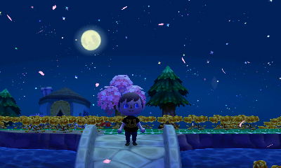 Cherry blossom petals falling from the night sky.