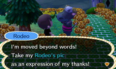 Rodeo: I'm moved beyond words! Take my Rodeo's pic as an expression of my thanks!