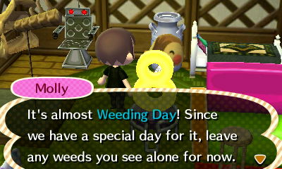 Molly: It's almost Weeding Day! Since we have a special day for it, leave any weeds you see alone for now.