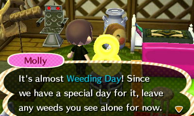 Molly: It's almost Weeding Day! Since we have a special day for it, leave any weeds you see alone for now.
