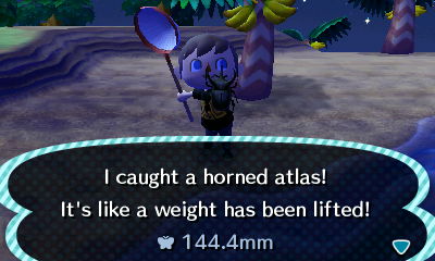 I caught a horned atlas! It's like a weight has been lifted! 144.4mm