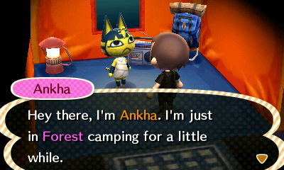 Ankha: Hey there, I'm Ankha. I'm just in Forest camping for a little while.