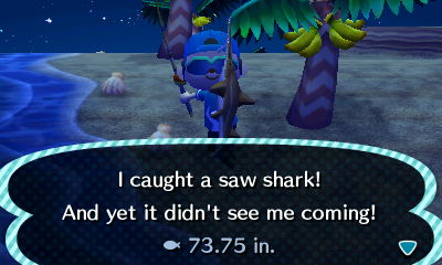 I caught a saw shark! And yet it didn't see me coming!