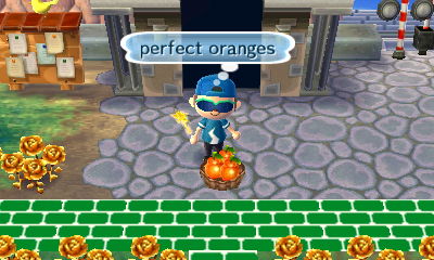 Finding some perfect oranges on the ground by the train station.
