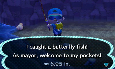 I caught a butterfly fish! As mayor, welcome to my pockets!
