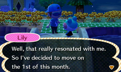 Lily: Well, that really resonated with me. So I've decided to move on the 1st of this month.