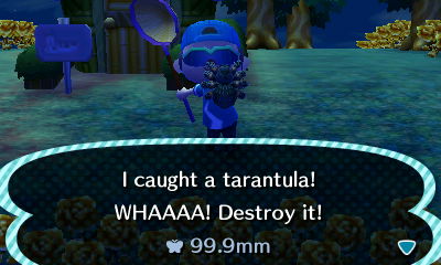 I caught a tarantula! WHAAAA! Destroy it!