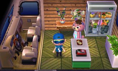 Inside of Ursala's RV in Animal Crossing: New Leaf.