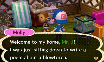 Molly: Welcome to my home, Mr. J! I was just sitting down to write a poem about a blowtorch.