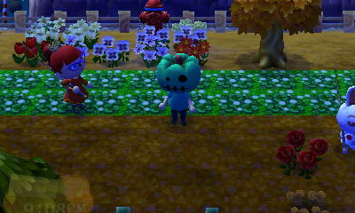 Bunny from Tiger and Jeff.