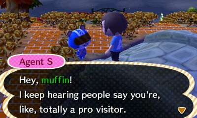 Agent S: Hey, muffin! I keep hearing people say you're totally a pro visitor!