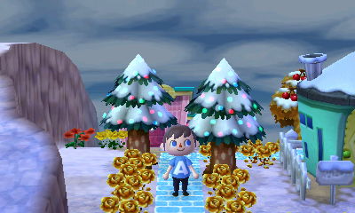 Festive Christmas lights on two cedar trees in Forest.