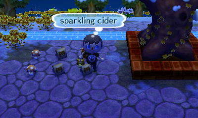 Some sparkling cider near my town tree for dream visitors.