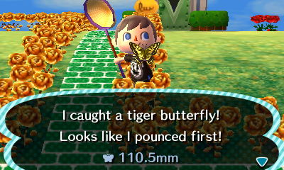 I caught a tiger butterfly! Looks like I pounced first! 110.5mm