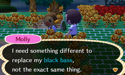 Molly: I need something different to replace my black bass, not the exact same thing.